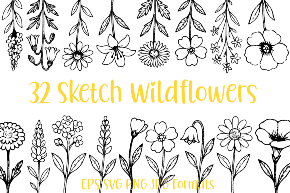 32 Wildflower Floral Sketch Illustration for Brand Graphics